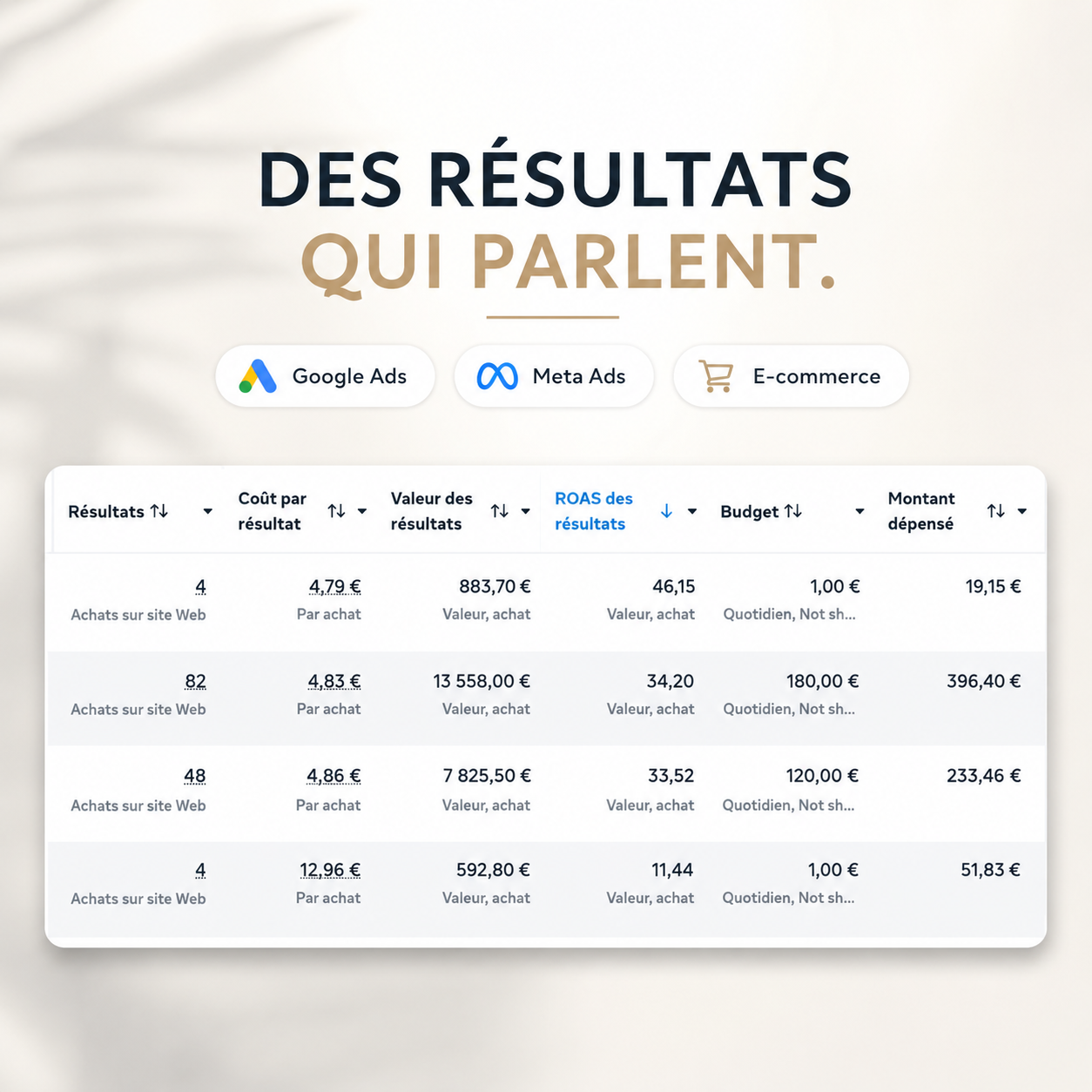 Résultat Meta Ads E-commerce — ROAS x34